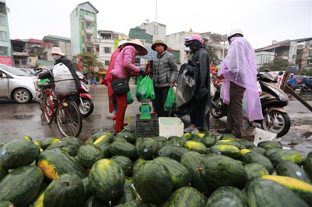 Người Hà Nội mua giải cứu dưa hấu không thể xuất sang Trung Quốc - Ảnh 1.