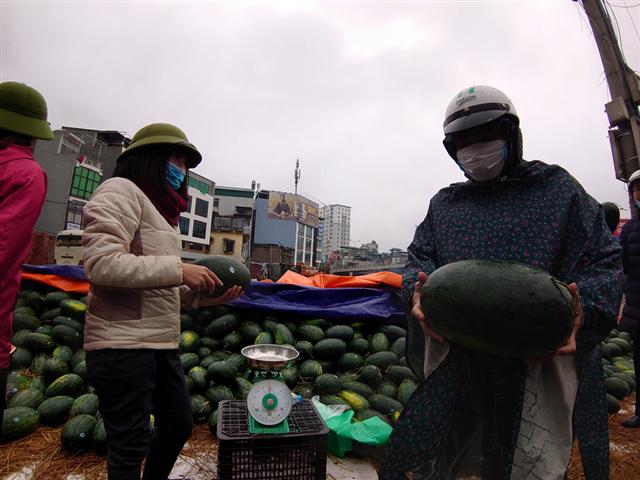 Người Hà Nội mua giải cứu dưa hấu không thể xuất sang Trung Quốc - Ảnh 4.