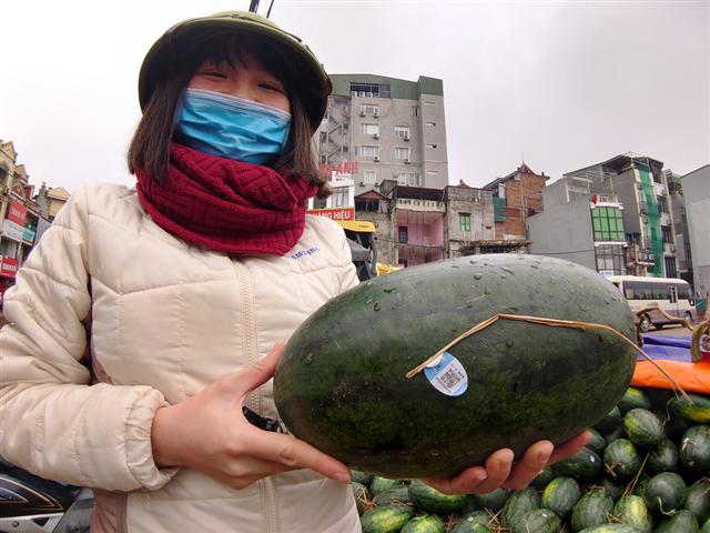 Người Hà Nội mua giải cứu dưa hấu không thể xuất sang Trung Quốc - Ảnh 5.
