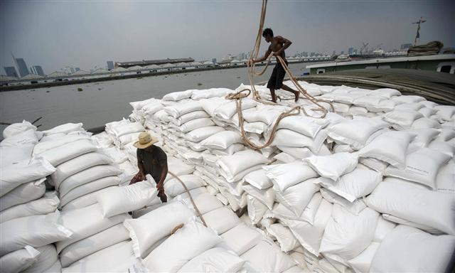 Việt Nam có thể vượt Thái Lan về xuất khẩu gạo