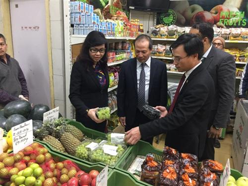 Vietnam promotes farm exports to India
