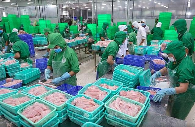 Vietnamese seafood industry sails over coronavirus outbreak