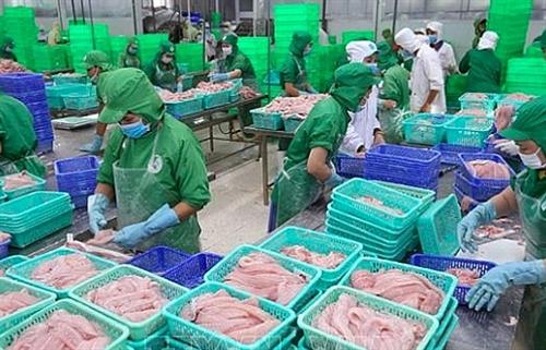 Vietnamese seafood industry sails over coronavirus outbreak