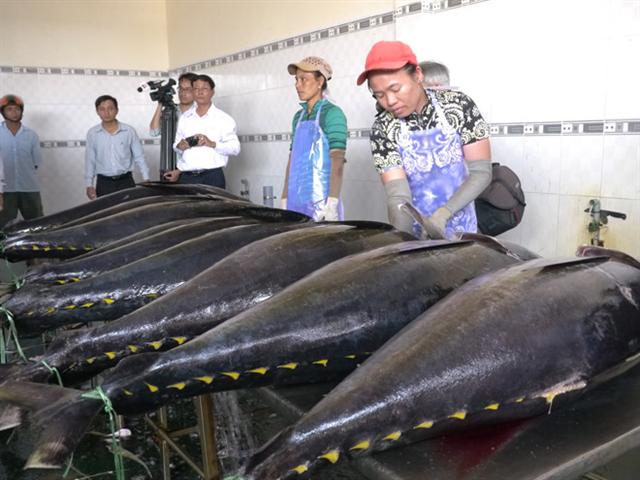 Gỡ 'thẻ vàng' cho thủy sản Việt Nam vẫn khó