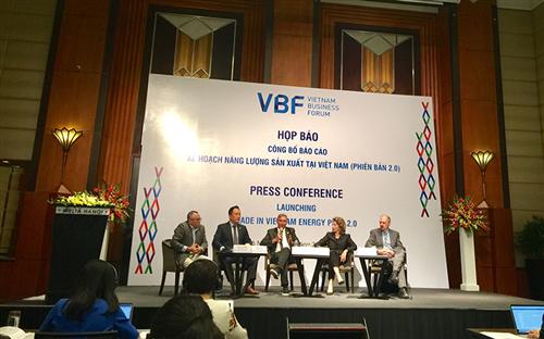 Vietnam needs diversified energy strategy to attract private sector investment: VBF