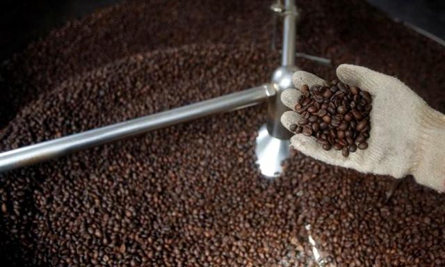 Domestic coffee prices edge down in Vietnam on coronavirus fears