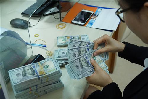 Vietnam c.bank willing to sell forex as greenback soars