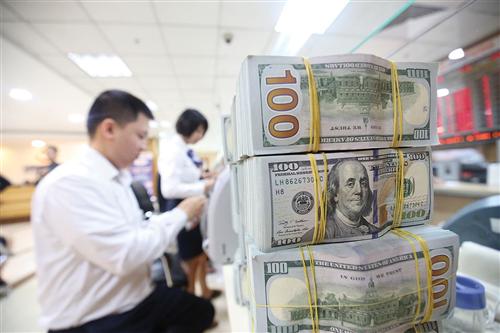 Vietnam’s bond market grows 4.1% to US$53.6 billion in 2019