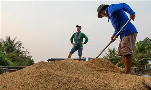 Ministry wants rice export ban lifted