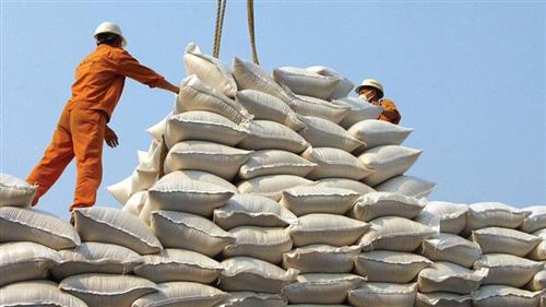 Vietnam trade ministry proposes resuming rice export