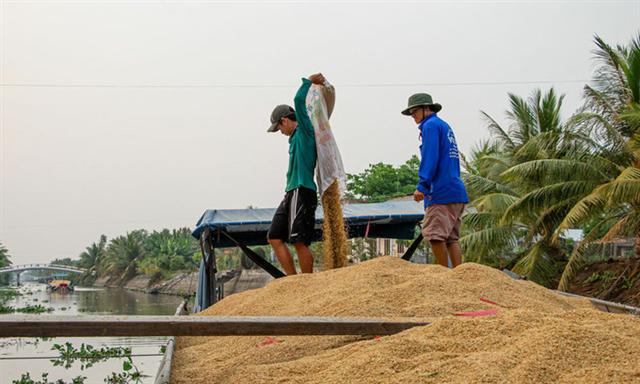 Businesses cry foul after missing rice export chance in April