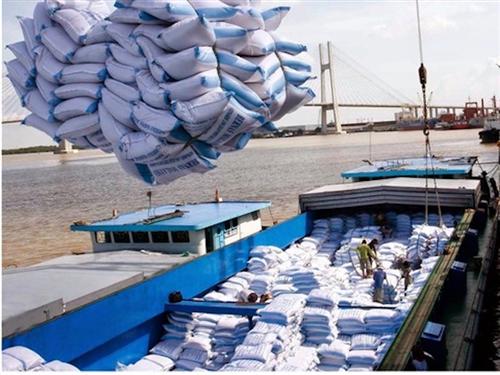 Vietnam gov’t handles irregularities in rice export management