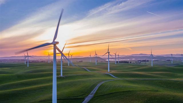 Trung Nam Group to set 16 wind turbines in service in Ninh Thuan