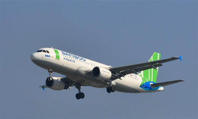 Bamboo Airways raises charter capital to $300 mln