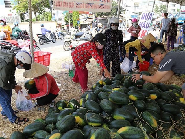 Nông sản Việt mở rộng thị trường ngoài Trung Quốc