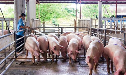Scarcity sends Vietnam pork prices to 20-year high