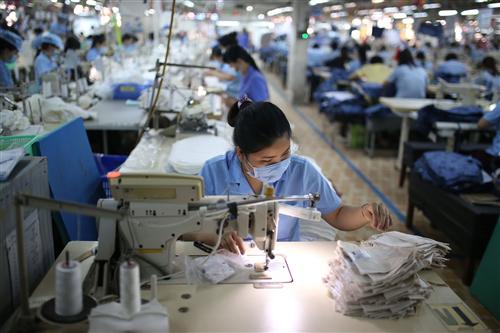 Productivity growth key to propel Vietnam to high-income economy: WB