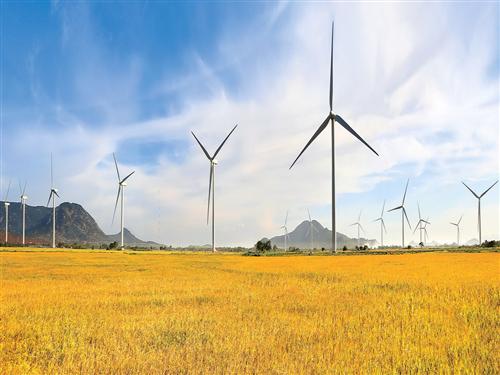 Vietnam wind sector to see growing opportunities: Fitch Solutions