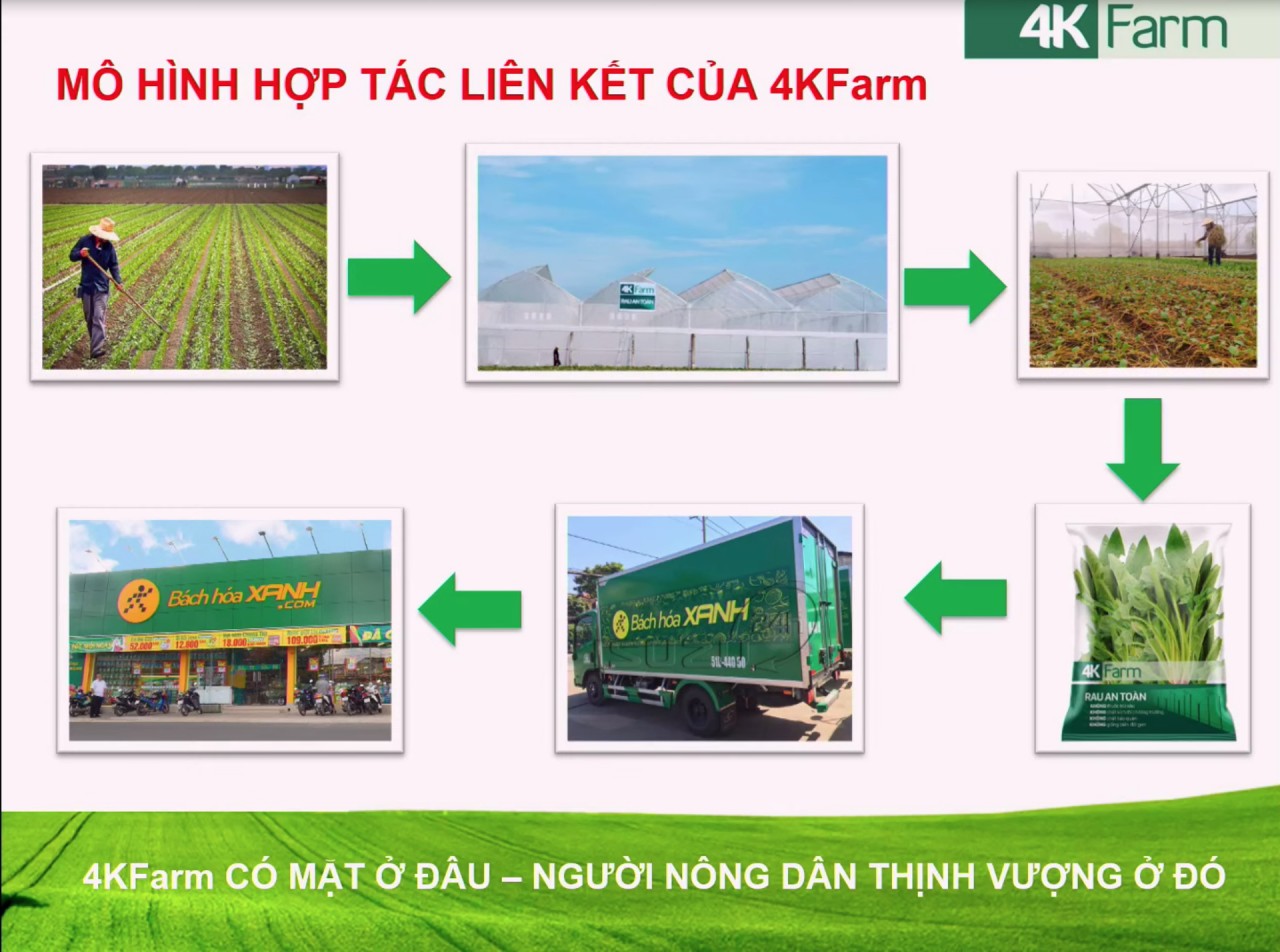 ĐHĐCĐ MWG Bách Hóa Xanh triển khai mô hình nông nghiệp công nghệ cao   Vietstock