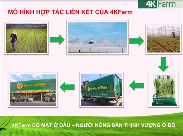 ĐHĐCĐ MWG: Bách Hóa Xanh triển khai mô hình nông nghiệp công nghệ cao