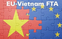 EVFTA represents a true ‘win-win’ for Vietnam and EU: EuroCham