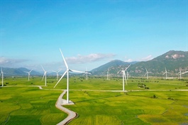 Vietnam gov’t seeks to nearly double wind power capacity to 12,000MW
