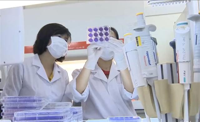 Vắc xin do Việt Nam nghiên cứu đáp ứng miễn dịch phòng Covid-19