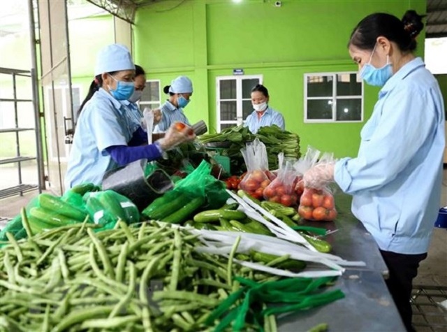 Campuchia chưa có văn bản nào cấm nhập khẩu rau, củ, quả Việt Nam