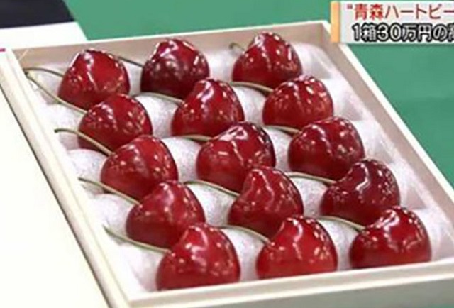 Cherry Nhật đắt kỷ lục, về Việt Nam giá 6,6 triệu đồng/kg