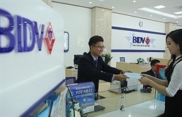 BIDV puts Nam Son arrears on trade to resolve bad debt