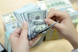 Vietnam's foreign borrowings jump 1.6-fold to US$533 million in H1