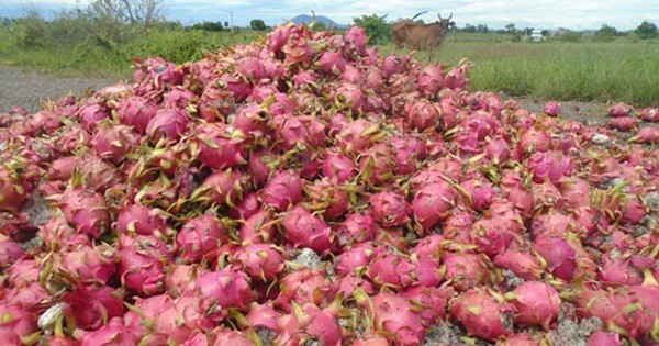 https://image.vietstock.vn/2020/08/08/vietstock_s_khoc-rong-voi-thanh-long-cuoi-vu_20200808105342.jpg