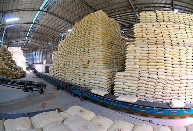 Giá gạo Việt xuất khẩu cao nhất thế giới