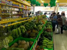 Vietnamese consumers prioritize buying preventive, essential products