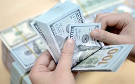 USD/VND rate expected to remain stable until year-end