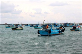 Vietnam keeps combating IUU fishing to lift EC ‘yellow card’