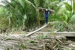 Vietnam begins anti-dumping probe into Thai sugar