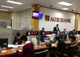 Kiểm toán nghi ngờ khả năng hoạt động liên tục của Công ty cho thuê tài chính Agribank