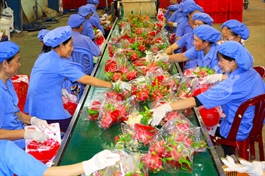 Vietnamese agricultural exports to EU soar on EVFTA