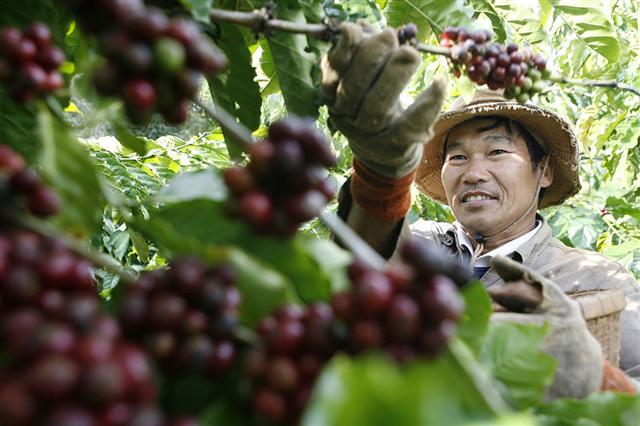 Để tăng trưởng giá trị nông sản Việt