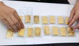 Cần Thơ: Truy tố nữ nhân viên ngân hàng chiếm đoạt 28 lượng vàng của khách hàng