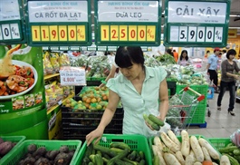Vietnam inflationary pressures predicted to remain weak in 2020 – 2021