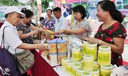 Vietnamese goods under pressure from FTAs