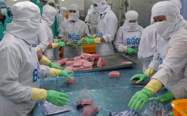 Người Mỹ tăng mua cá ngừ đóng hộp từ Việt Nam