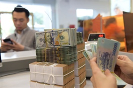 Vietnam banks performance improves with economic recovery: Fitch Ratings