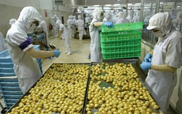 Vietnam firms warned of growing trade probes