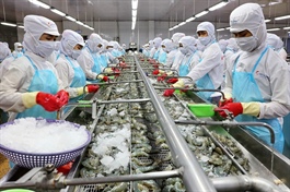Vietnam posts export growth despite pandemic effects