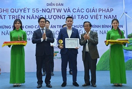 Vietnam honors 11 major renewable energy projects in 2020