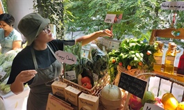 Organic farmers begin to reap the fruits of their work