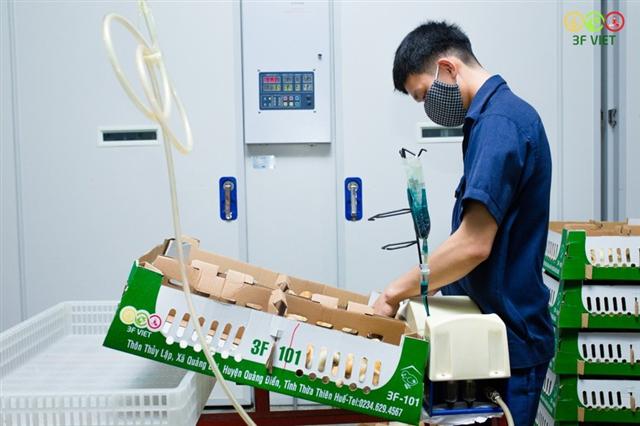 Masan MEATLife enters poultry market by buying into 3F VIET